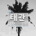 태관 시작 단어