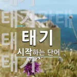 태기로 시작하는 단어는? 5개