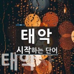 태악 시작 단어