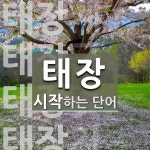 태장 시작 단어