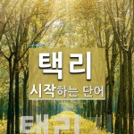택리 시작 단어