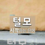 털모 시작 단어