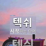 텍쉬로 시작하는 단어는? 1개