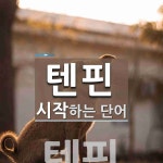 텐핀으로 시작하는 단어는? 3개