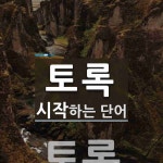 토록으로 시작하는 단어는? 1개