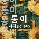 통이로 시작하는 단어는? 6개