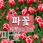 꽃사담고 | 파꽃으로 시작하는 단어는? 2개