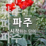 파주로 시작하는 단어는? 22개