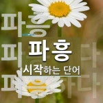 파흥으로 시작하는 단어는? 3개