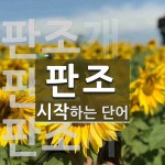 판조로 시작하는 단어는? 3개