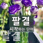팔결로 시작하는 단어는? 2개