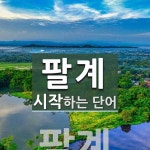 팔계로정육 | 팔계로 시작하는 단어는? 1개