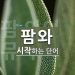 팜와 시작 단어