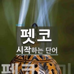 펫코로 시작하는 단어는? 2개