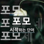 포모로 시작하는 단어는? 3개