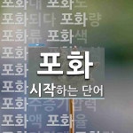 포화로 시작하는 단어는? 91개