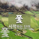 퐃으로 시작하는 단어는? 2개