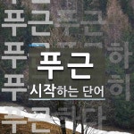 푸근으로 시작하는 단어는? 6개