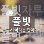 풀빗으로 시작하는 단어는? 3개