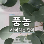 풍농으로 시작하는 단어는? 1개