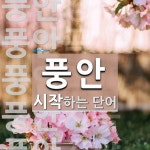 풍안으로 시작하는 단어는? 7개