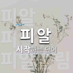 피알 시작 단어