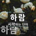 하람 시작 단어