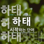 하태로 시작하는 단어는? 4개