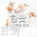 한맛 시작 단어