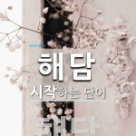 해담으로 시작하는 단어는? 1개