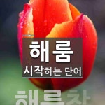 해룸으로 시작하는 단어는? 1개
