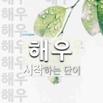 해우로 시작하는 단어는? 16개