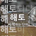 해토 시작 단어