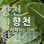 향천으로 시작하는 단어는? 3개