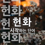 헌화로 시작하는 단어는? 5개