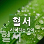 혈서로 시작하는 단어는? 2개