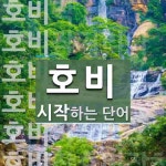 호비로 시작하는 단어는? 10개