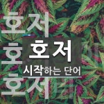 호저 시작 단어