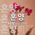 혼양 시작 단어