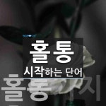 홀통으로 시작하는 단어는? 3개