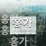 홍가로 시작하는 단어는? 6개