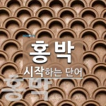 홍박으로 시작하는 단어는? 2개