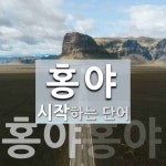 홍야 시작 단어