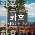 화호 시작 단어