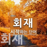회재로 시작하는 단어는? 2개