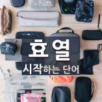 효열로 시작하는 단어는? 3개