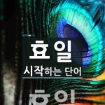 효일 시작 단어