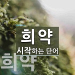 희약으로 시작하는 단어는? 2개