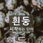 흰둥 시작 단어