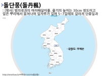 사투리 부체손의 뜻과 활용